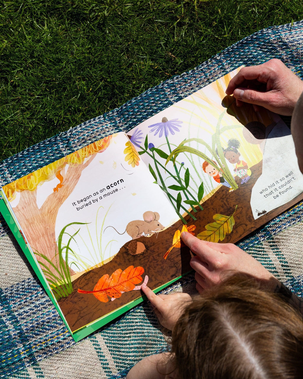 TEENY TINY SCIENCE: I SEE A TREE BOOK (3-5 YEARS)