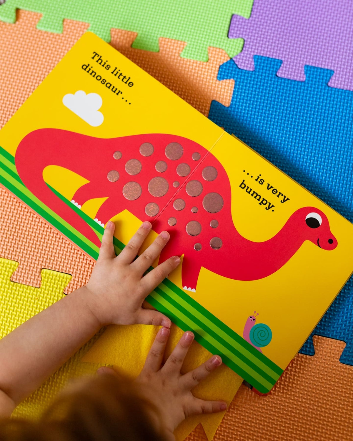 THIS LITTLE DINOSAUR BOARD BOOK (0-2 YEARS)