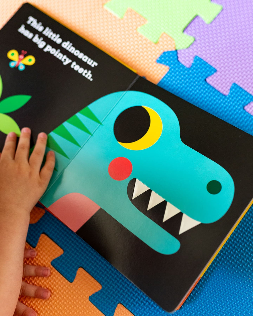 THIS LITTLE DINOSAUR BOARD BOOK (0-2 YEARS)