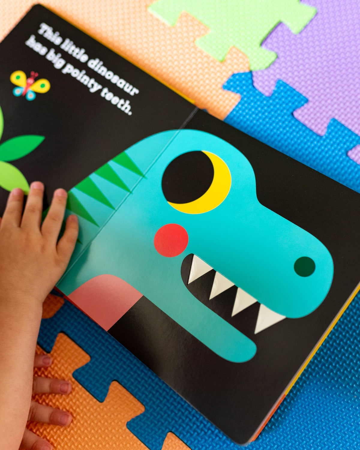 THIS LITTLE DINOSAUR BOARD BOOK (0-2 YEARS)