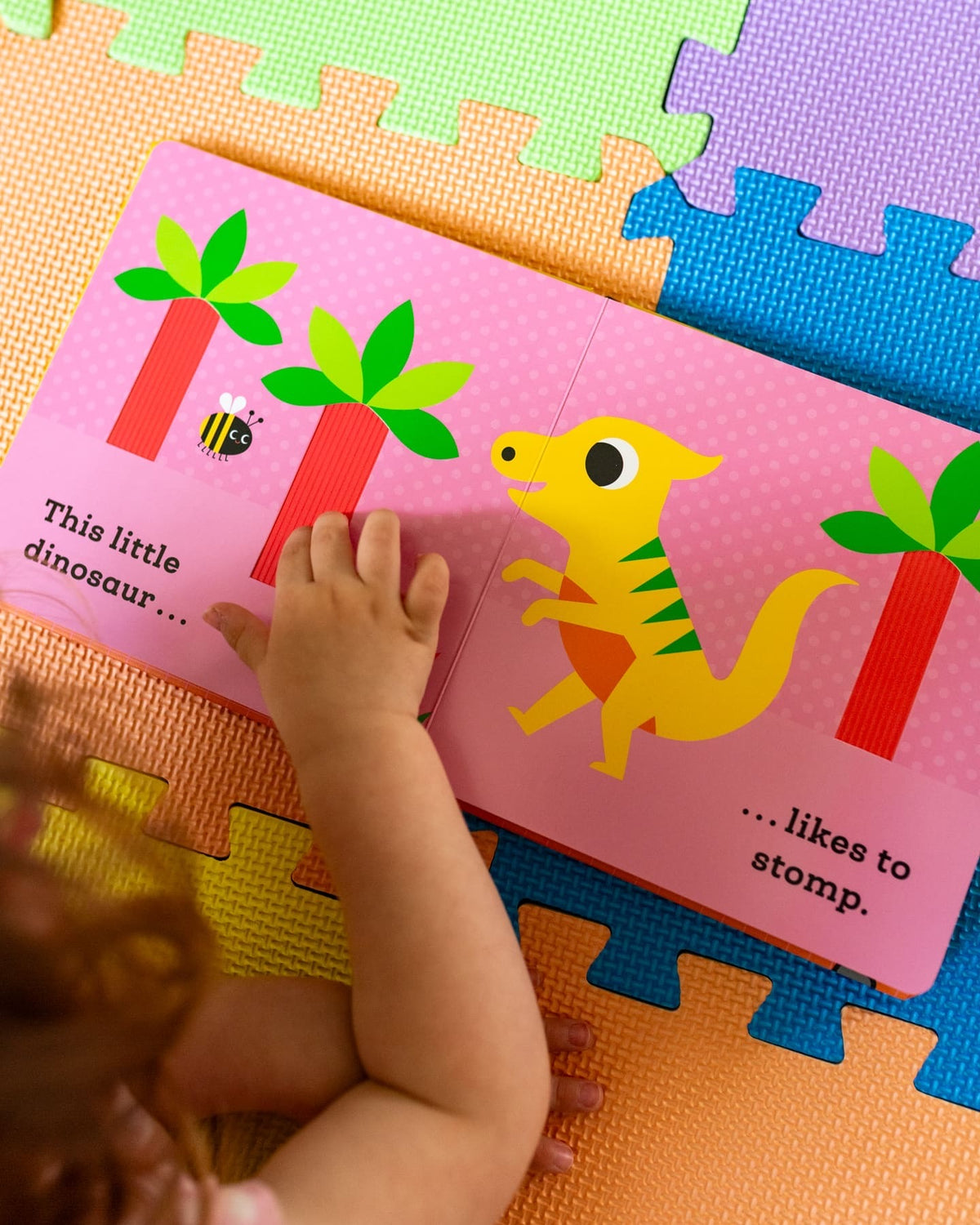 THIS LITTLE DINOSAUR BOARD BOOK (0-2 YEARS)