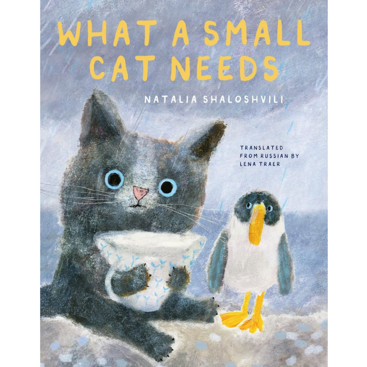 WHAT A SMALL CAT NEEDS (3-5 YEARS)