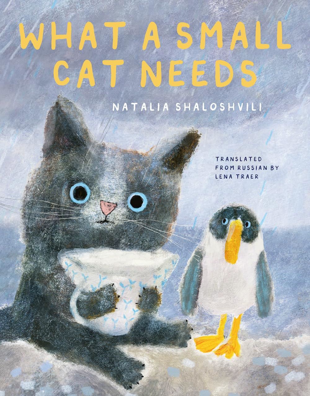 WHAT A SMALL CAT NEEDS (3-5 YEARS)
