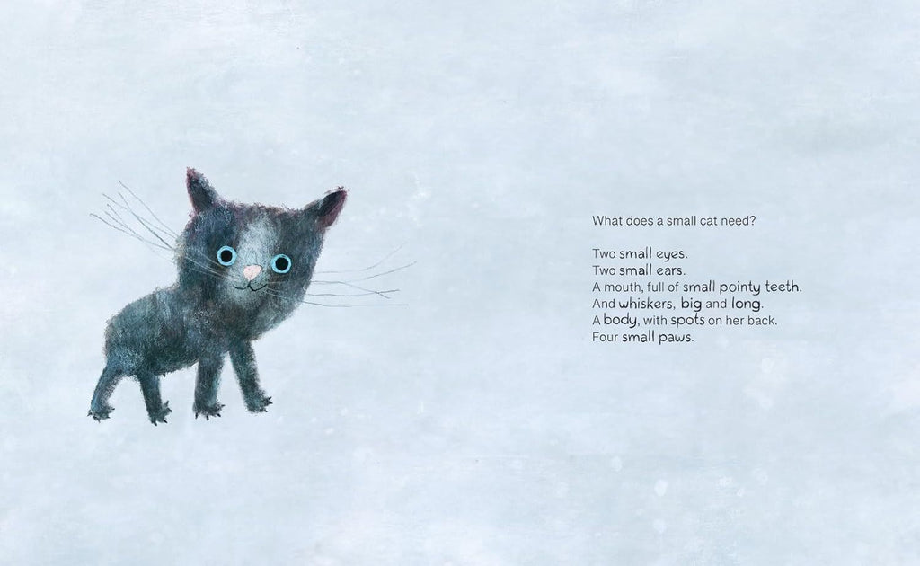 WHAT A SMALL CAT NEEDS (3-5 YEARS)