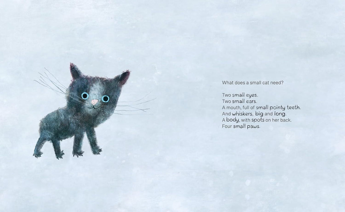 WHAT A SMALL CAT NEEDS (3-5 YEARS)
