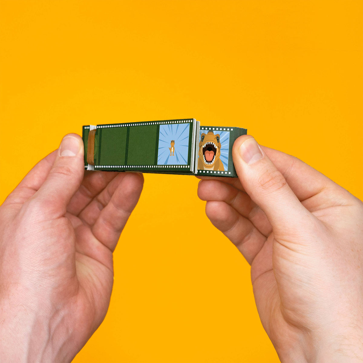 DYNAMIC DINOSAURS FLIP BOOK ANIMATION KIT (7 YEARS+)