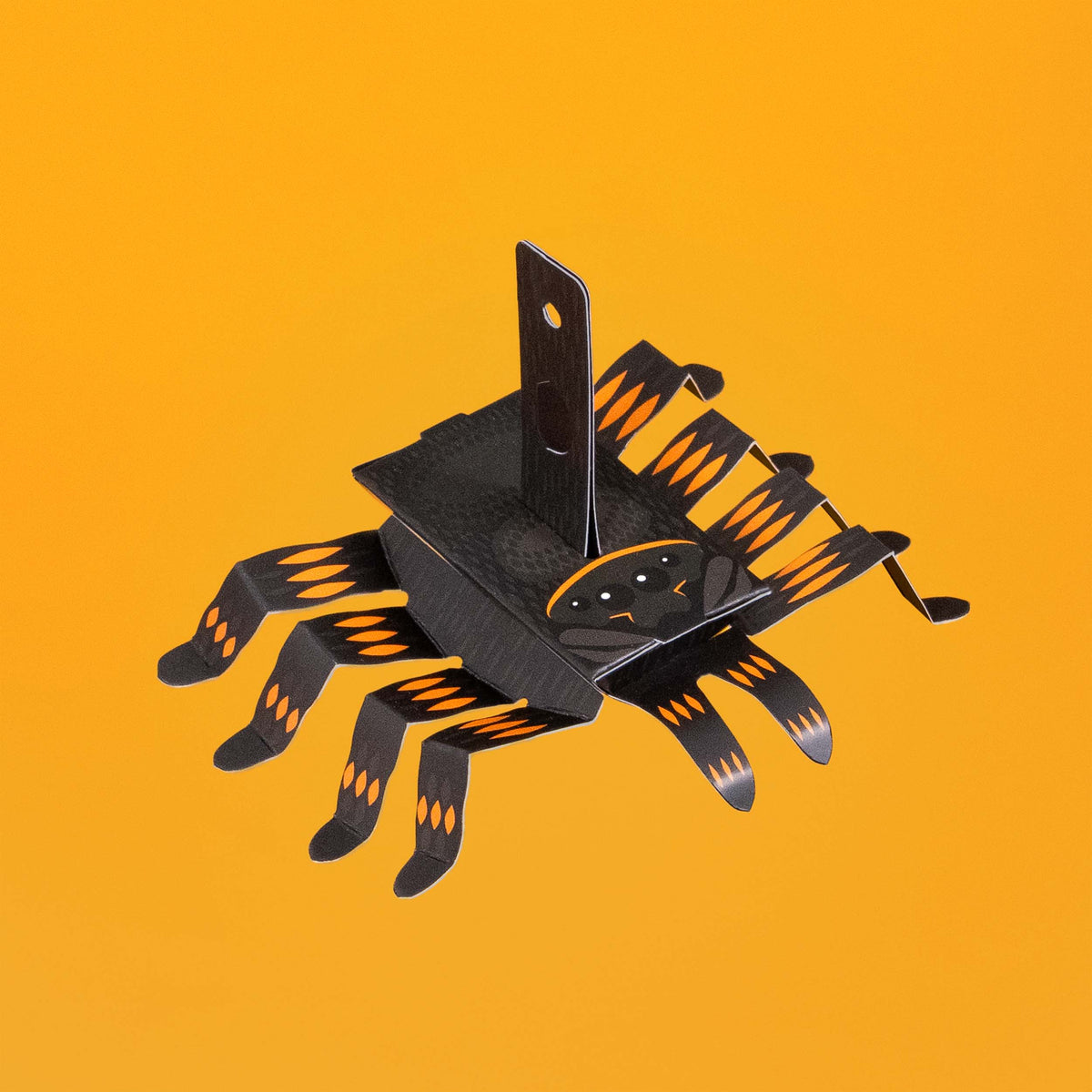 CREATE YOUR OWN WRIGGLY SPIDER (5 YEARS+)