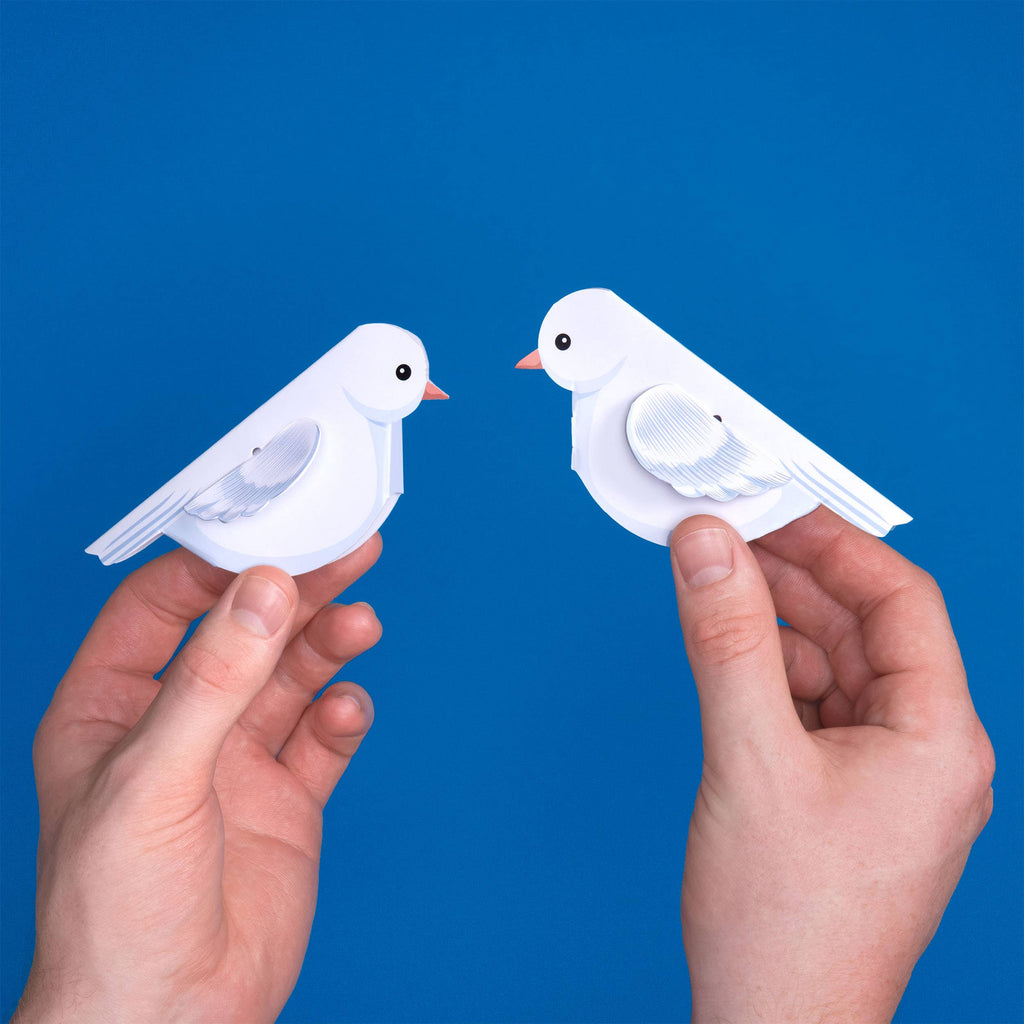 CREATE YOUR OWN LOVEY DOVEYS (5 YEARS+)