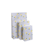 MEDIUM GIFT BAG BLOCK BOTTOM