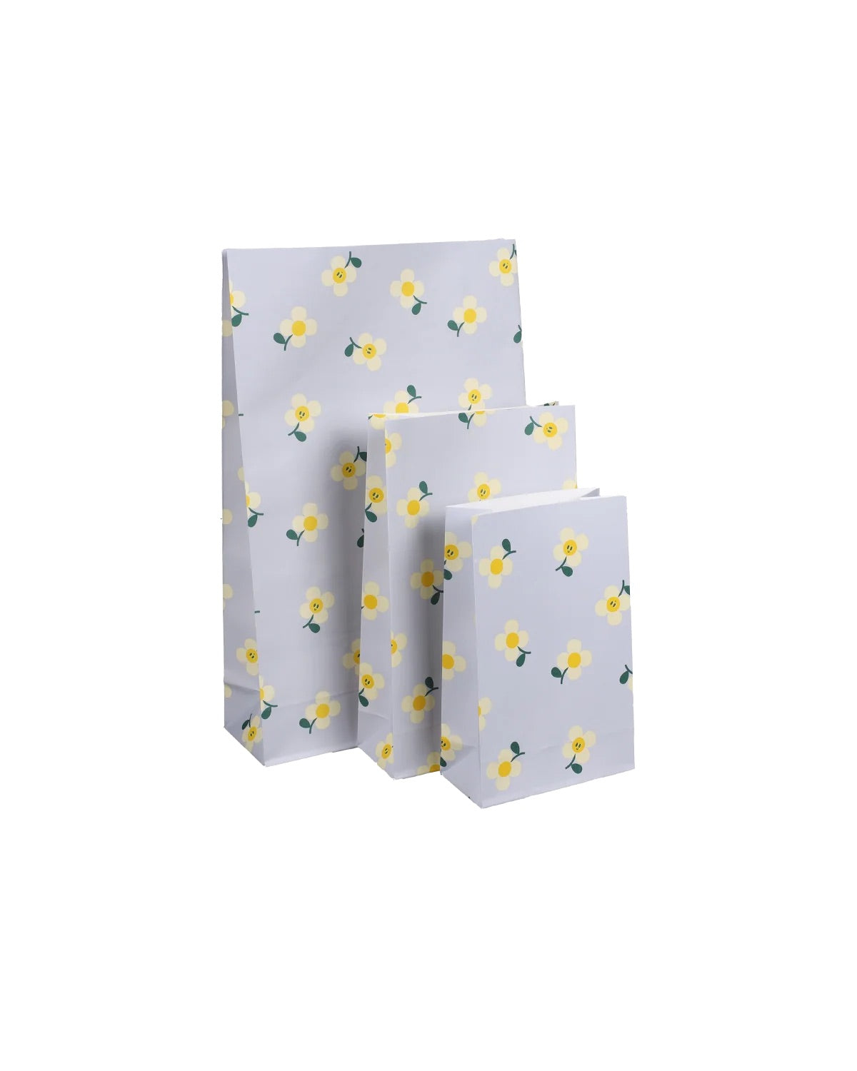 MEDIUM GIFT BAG BLOCK BOTTOM