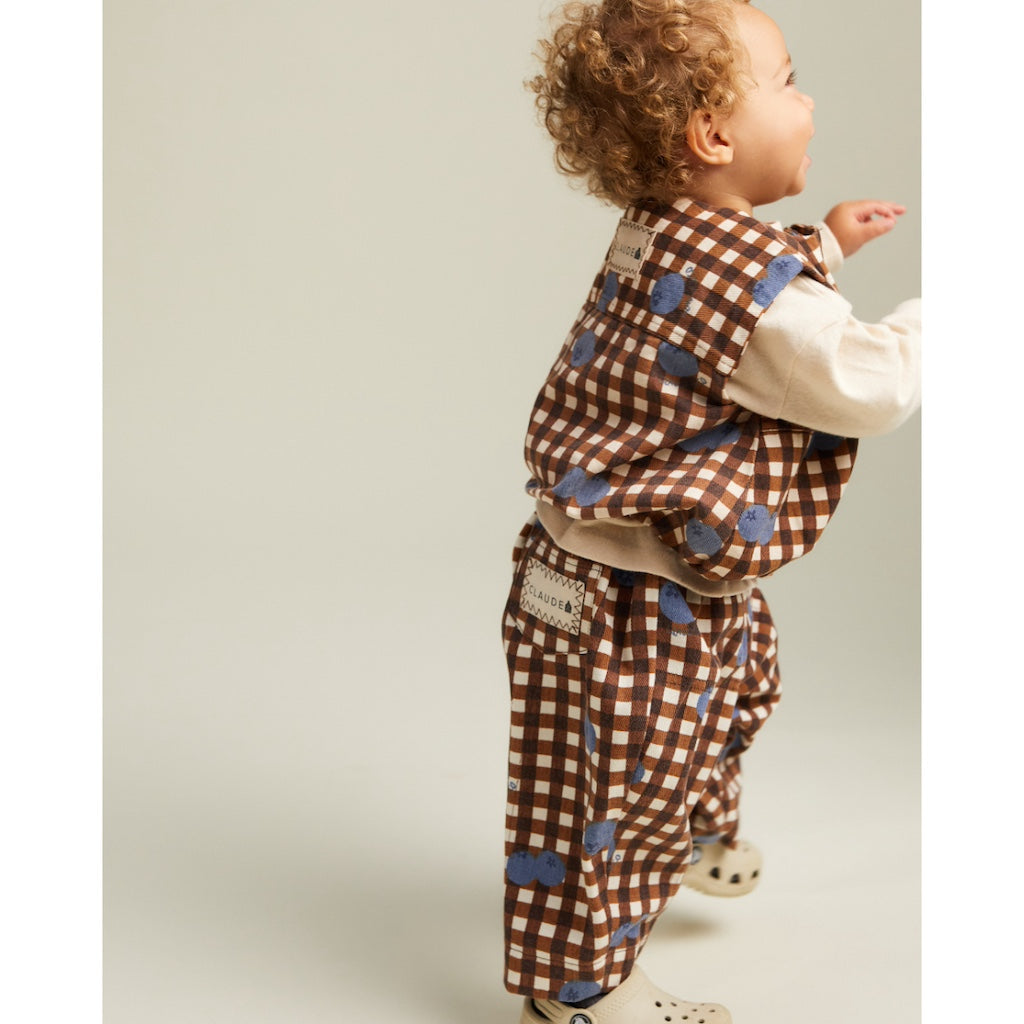 REX BLUEBERRY GINGHAM TROUSER