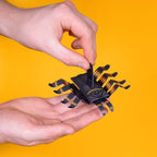 CREATE YOUR OWN WRIGGLY SPIDER (5 YEARS+)