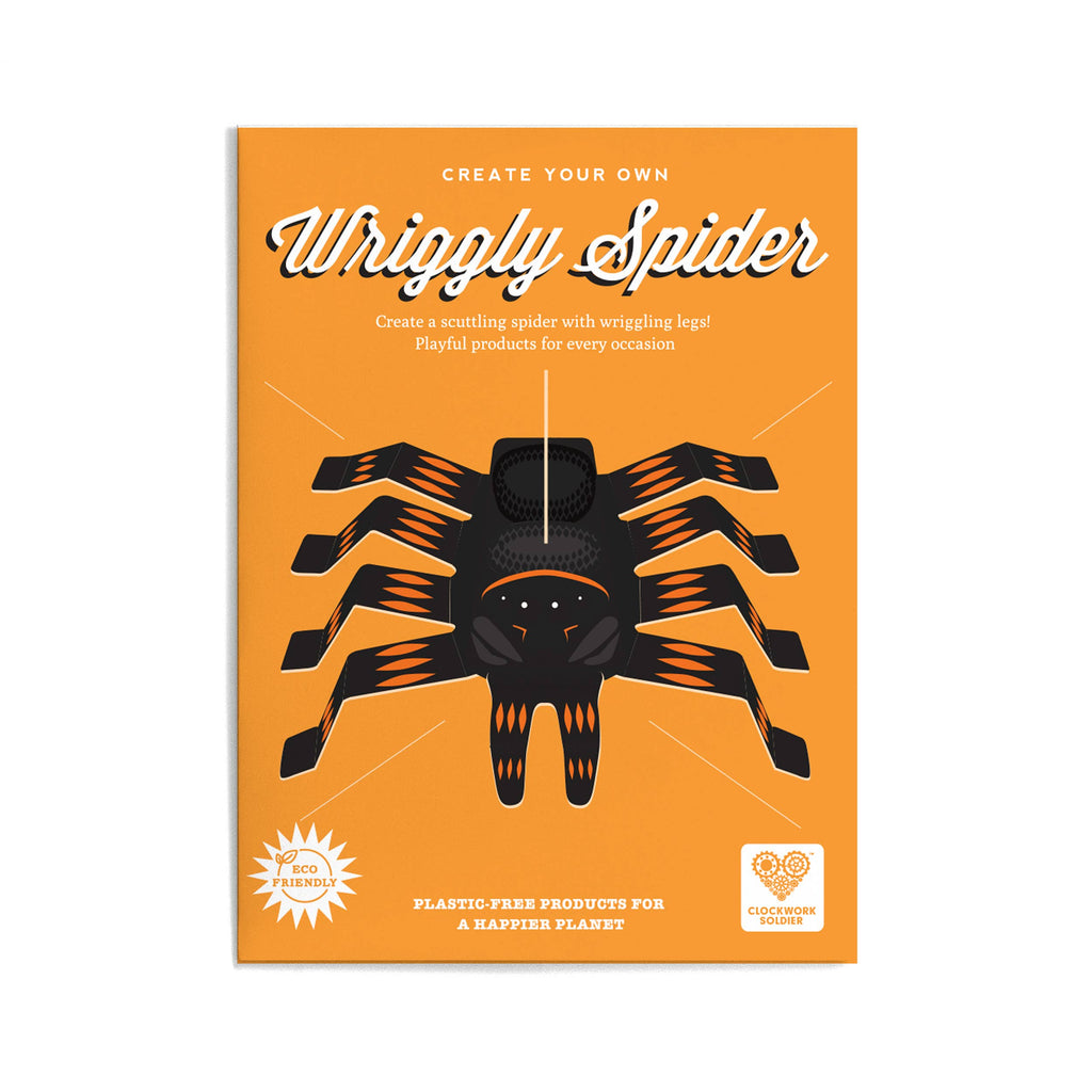 CREATE YOUR OWN WRIGGLY SPIDER (5 YEARS+)