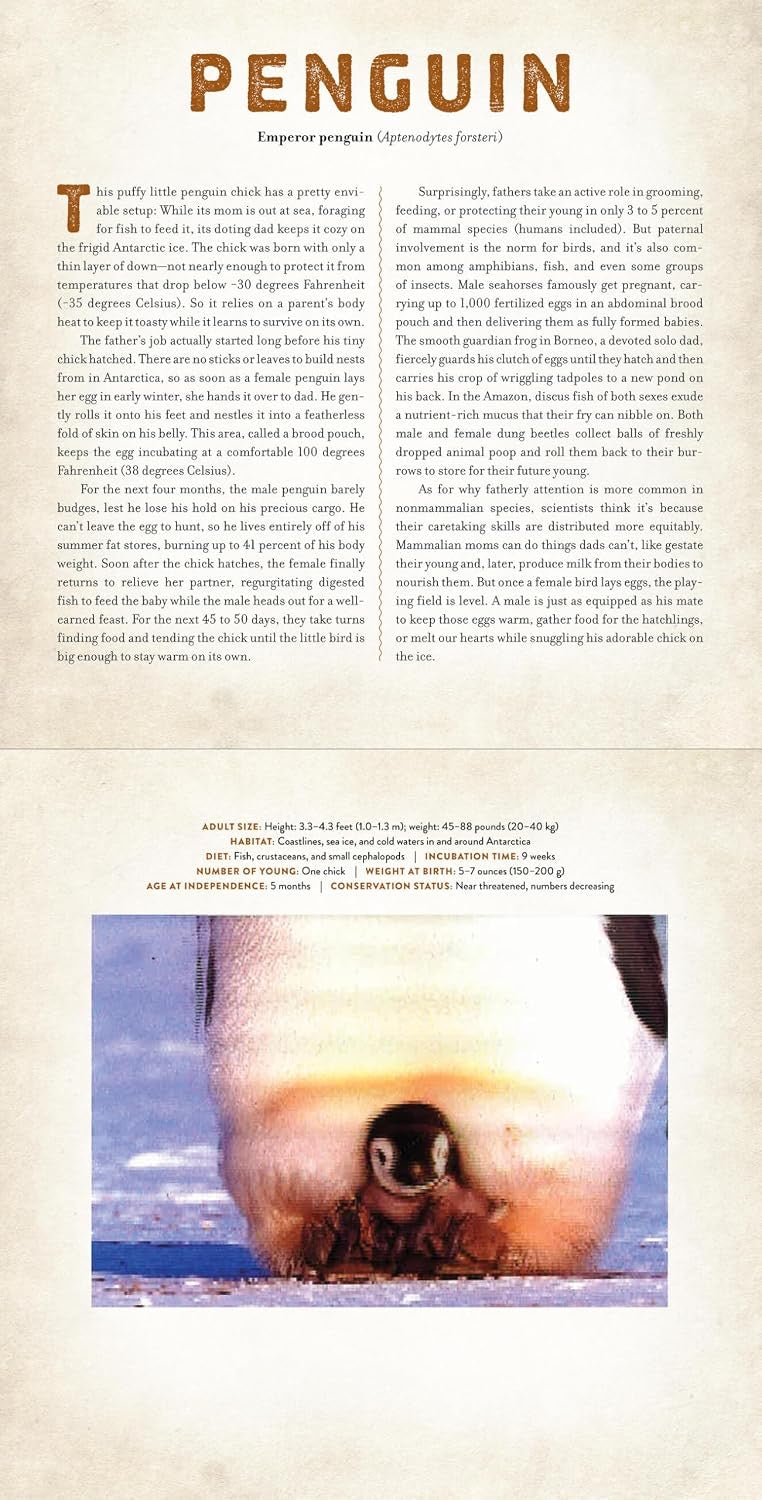 A PHOTICULAR BOOK - BABIES