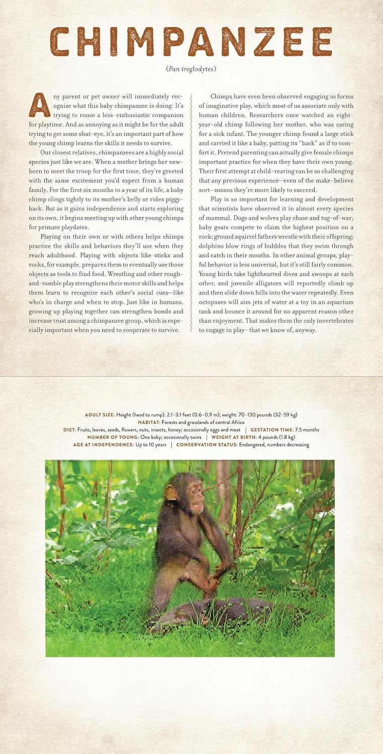 A PHOTICULAR BOOK - BABIES