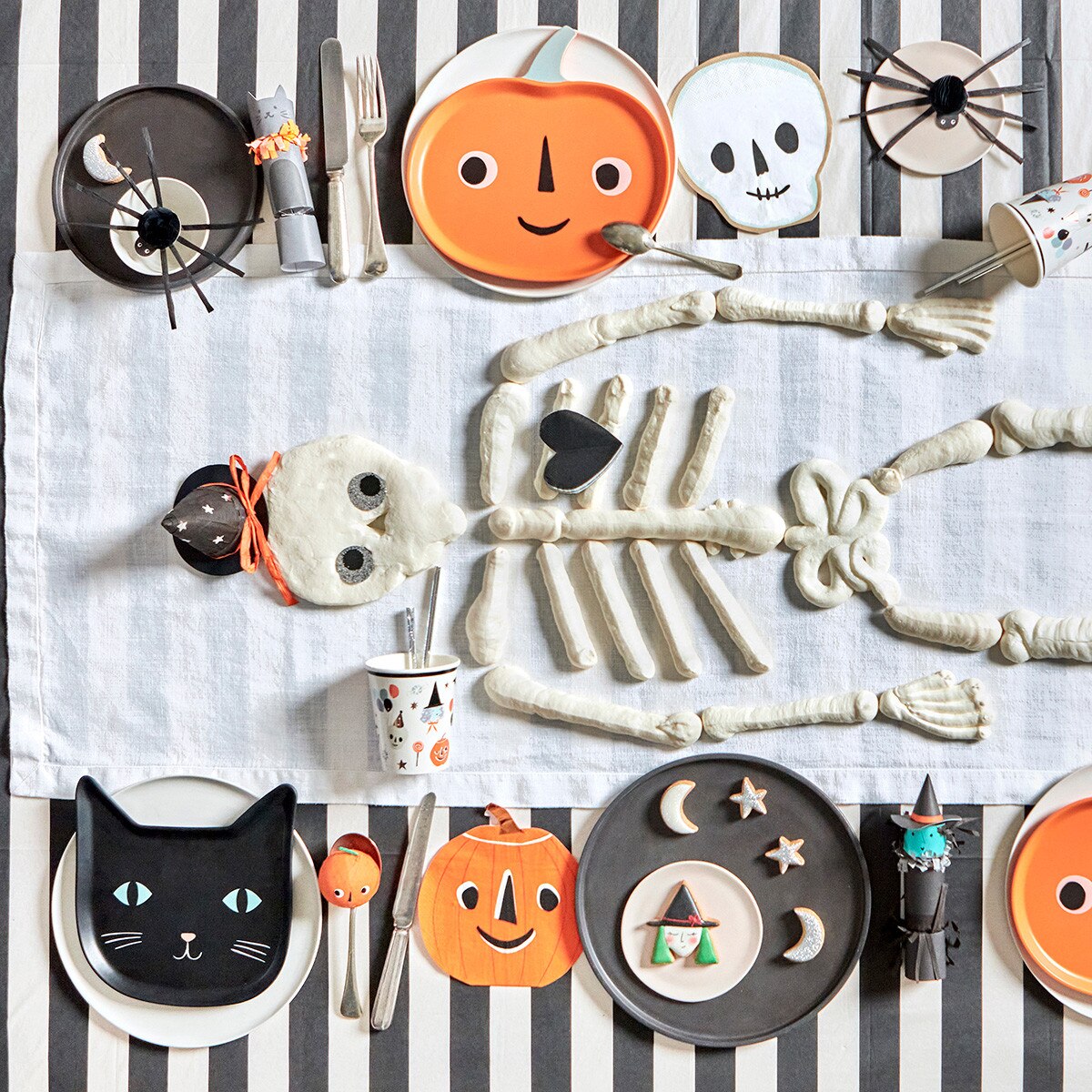 RESUABLE CAT PLATE