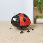 FOIL BALLOON - "AIRWALKER" LADYBIRD