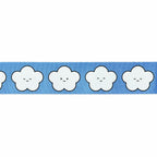 WIDE TAFFETA RIBBON - CHINGU CLOUD